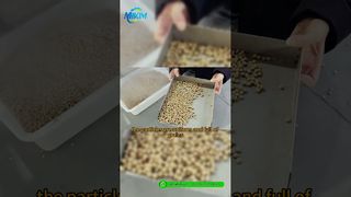Dây chuyền sản xuất viên thức ăn cho cá DGP-85 | Giới thiệu & Demo toàn bộ quy trình#fishfeedproductionline
