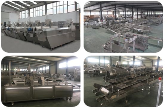 Động cơ WEG / Siemens Máy làm bánh thưởng cho thú cưng với nhiều thành phần khác nhau được thêm vào