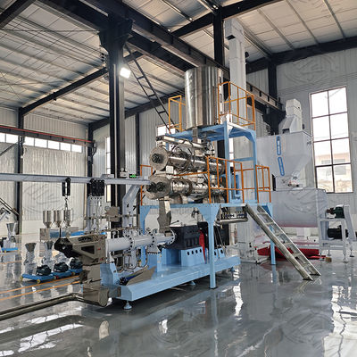 Thép không gỉ đôi trục vít khô thực phẩm cho thú cưng thiết bị đùn cho chó, chim