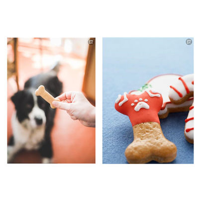 Dog Nhai Chăm sóc Nha khoa Máy móc chế biến thức ăn cho thú cưng