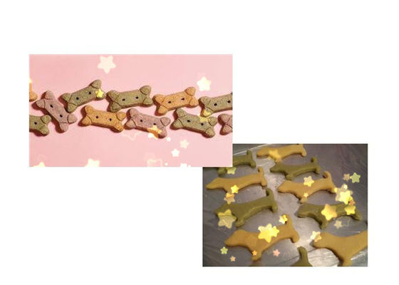 DR -280 Máy làm bánh chó bằng thép không gỉ màu với hiệu suất ổn định