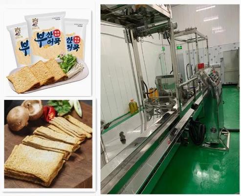 Máy đùn trục vít đôi / Máy đùn Soya với Bảo hành một năm