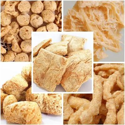 TVP TSP Máy ép đậu nành rau 110kw Chứng chỉ CE