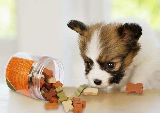 Máy xử lý vật nuôi bằng thép không gỉ Lecithin mềm Máy làm đùn lạnh