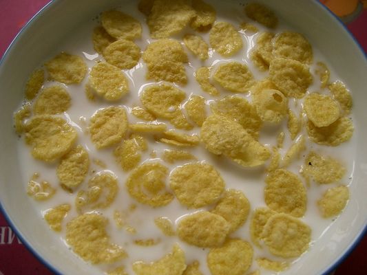 Ngũ cốc Bột làm máy nghiền Dây chuyền chế biến snack Màn hình cảm ứng PLC của Siemens