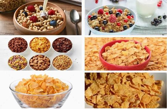 Dây chuyền sản xuất Bột ngô vảy bằng thép không gỉ mới Máy đùn trục vít đôi