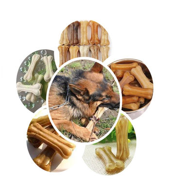 Nha khoa thủy lợi Chăm sóc xương Bone Dog 2500 x 1200 x 1900mm