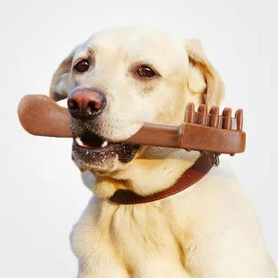 Long Life Dog Treat Machine Tiêm Pet Nhai Snack Điều trị Khuôn