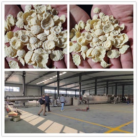 Dây chuyền chế biến hạt ngô giòn Kellog / Dây chuyền sản xuất bột ngô